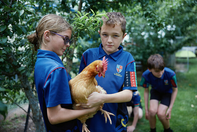 Students caring for a chicken as part of the school&rsquo;s environmental programme.