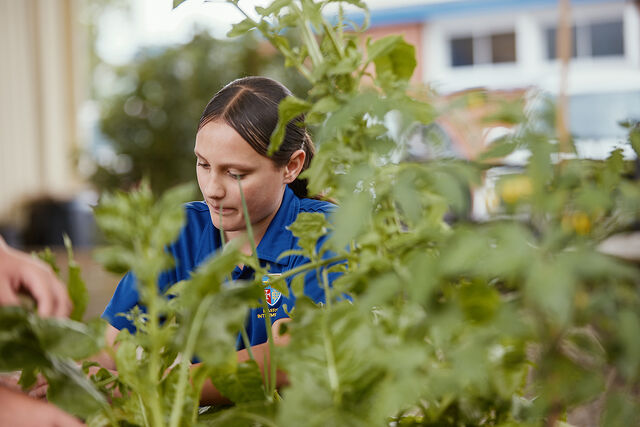 Student working in the school garden, tending to plants.